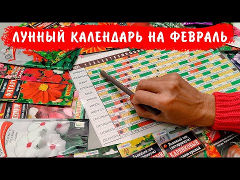 ЧТО И КОГДА ПОСЕЯТЬ В ФЕВРАЛЕ!!! Лучшие дни в феврале. Лунный посевной календарь огородника