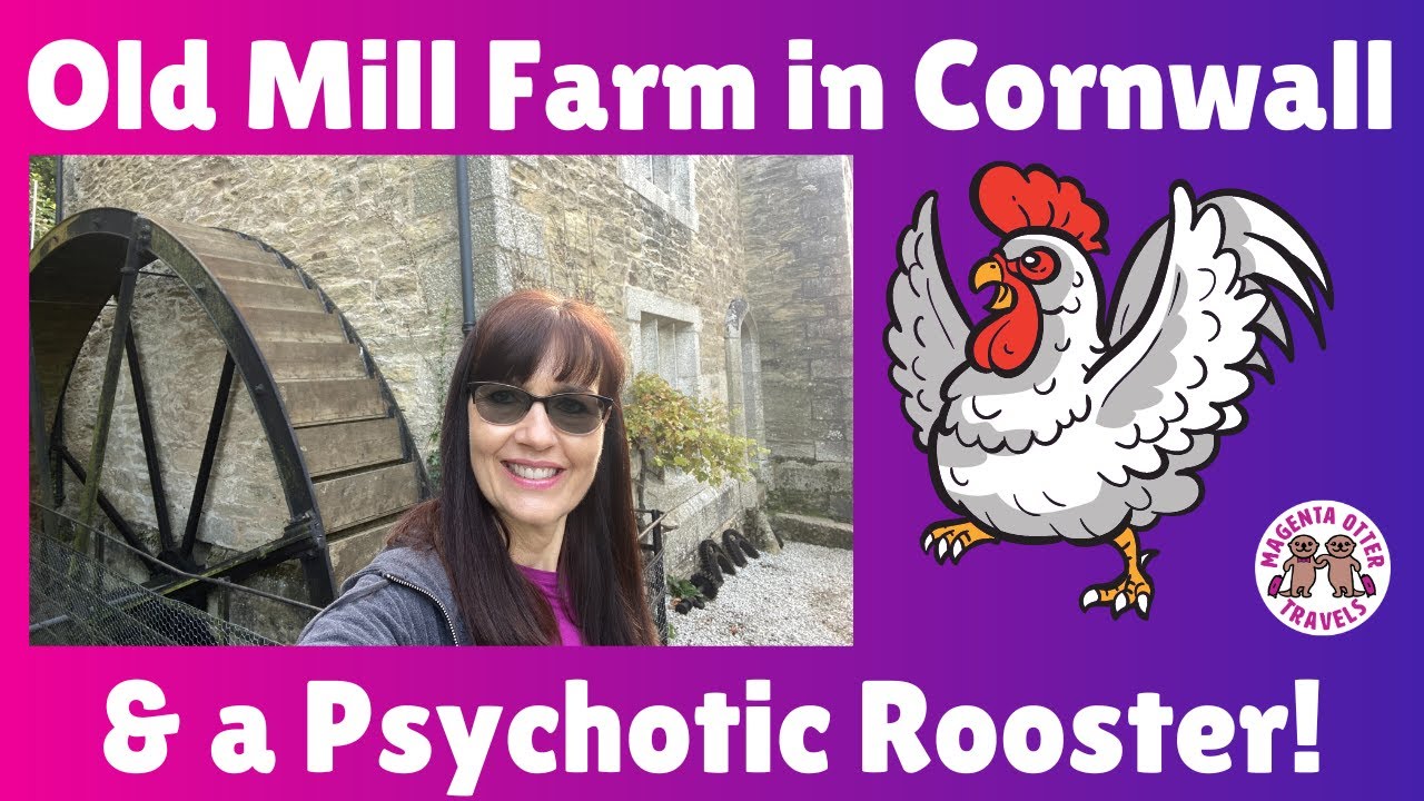 Staying at an Old Mill Farm Cornwall Vlog YouTube Staying at an Old Mill Farm Cornwall Vlog YouTube