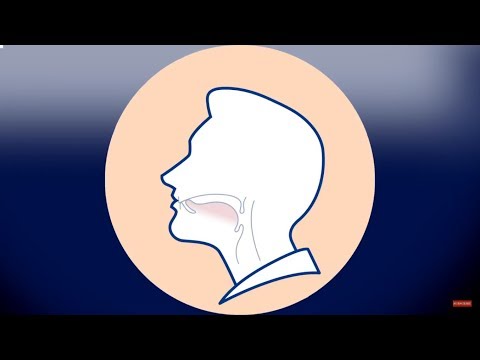 Vidéo: Comment Bien Préparer Sa Langue