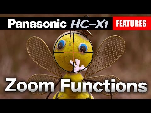 Panasonic HC-X1 Video Camera Zoom Review, Tutorial & Examples