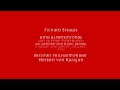 Miniature de la vidéo de la chanson Alpine Symphony: Gewitter Und Sturm, Abstieg