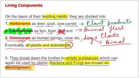 INTERDEPENDENCE IN NATURE  | Class V Chapter 1A | St. Joseph School | Smart Class