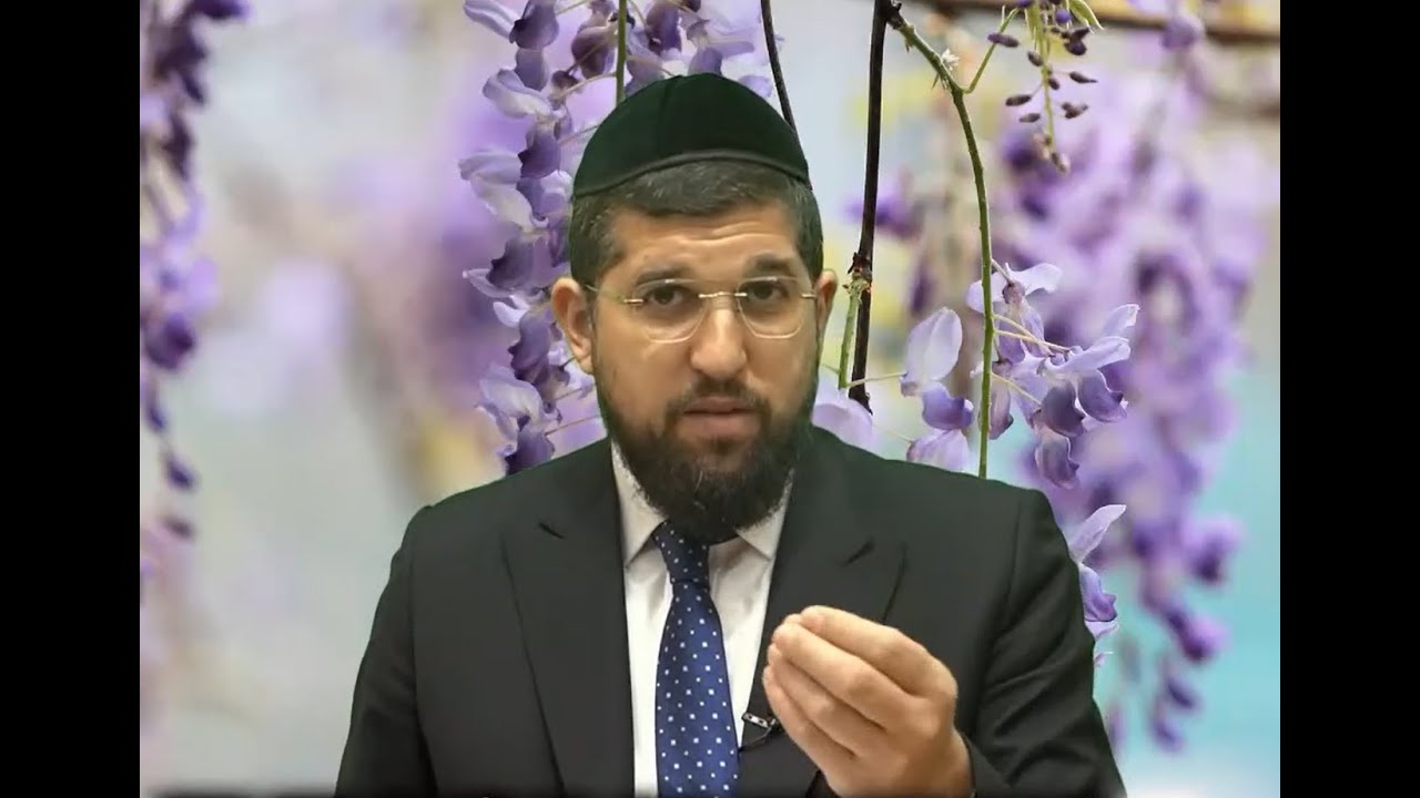 Uploads from הרב אליהו עמר