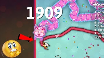 Biggest Snake Died Like A Noob In Snake. Io!