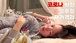 사람이 점점 꼬질해지는 코로나 자가격리 vlog (feat. 고양이 코로나)