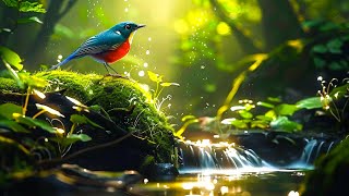 Restoration Of The Nervous System 🌿Soothing Music🌿 Stop Overthinking, Stress Relief Music
