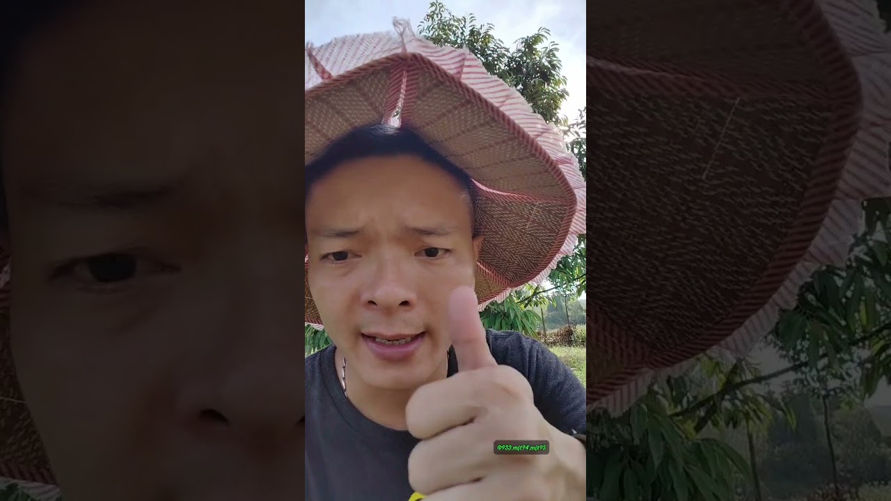 Phần 98: Phục Hồi Cây sau Thu Hoạch Mãi mà Ko Cơi được!