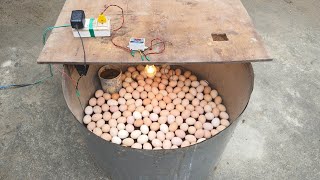 Incubator for Chicken Eggs | BIG Incubator For Hatching Eggs at Home | Egg Incubator