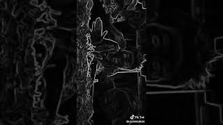 Coki-Coki Coklat Asli