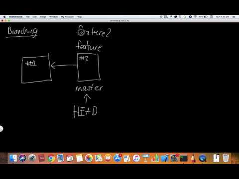 Git 3 Git Branching branch, checkout