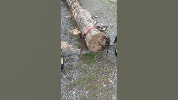 Log Dolly!