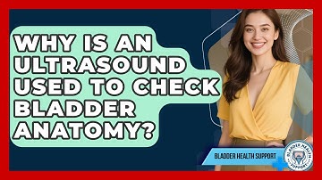 Why Is An Ultrasound Used To Check Bladder Anatomy? - Bladder Health Support