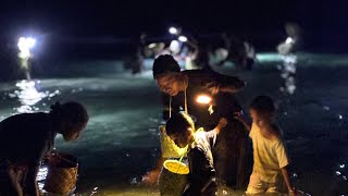 Proses Penangkapan Ikan Nale 😍😍