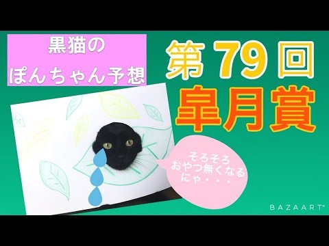 第５弾！【黒ねこ予想】ぽんちゃん予想！ ～ 皐月賞 ～