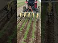 【AGRI-KONPOチャンネル】S4狭畦→後ろの爪をS4の刃をそのまま採用
