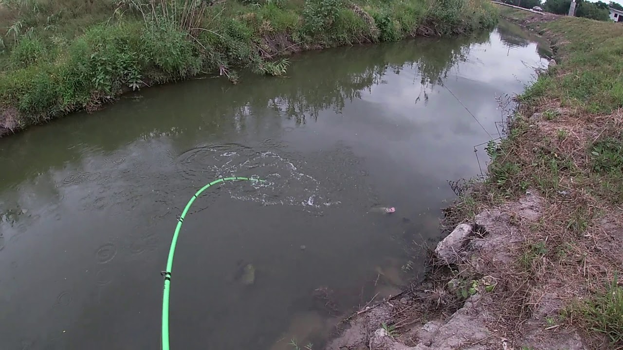 South Texas Canal Bass Fishing