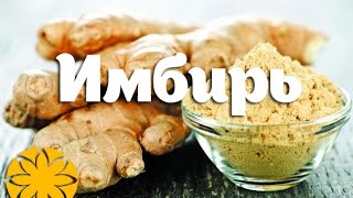 Имбирь (Ginger) Amideya.com.ua Имбирь (Ginger) Amideya.com.ua