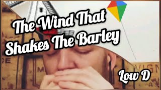 The Wind That Shakes The Barley - Harmonica (+Tabs) @CharlesHarrisonMusic
