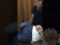 chiropractor for lumbar vertebrae