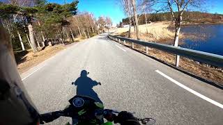 Kawasaki Z750 LeoVince GP (Pure Sound) #2 Kawasaki Z750 LeoVince GP (Pure Sound) #2
