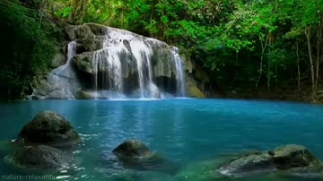 سورة البقرة كاملة تريح القلب (بدون حقوق الطبع)