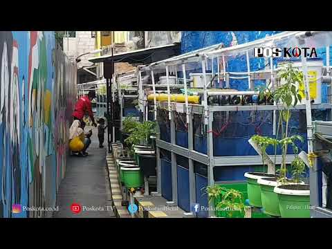 RESMI MENYANDANG SEBAGAI
