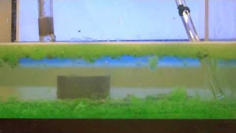 WHOI Video Presentation