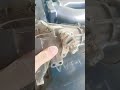 تحوير دانه او مدفع الكير عله المكينه في فيتي عداد السرعه