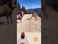 كانوا يصورون بهدوء وفجأة حدث ما لم يكن في الحسبان  اكسبلور