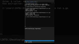 go | Euler project 'RSA Encryption' | CodeLearning