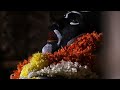 Swamy koragajja Bhakthigeethegalu | Devotional Song | 2021|