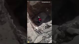 When your curiosity pulls you into the deep mystery 🤸🤣