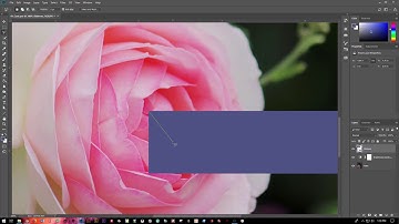 Photoshop CIAB CH 1 Source