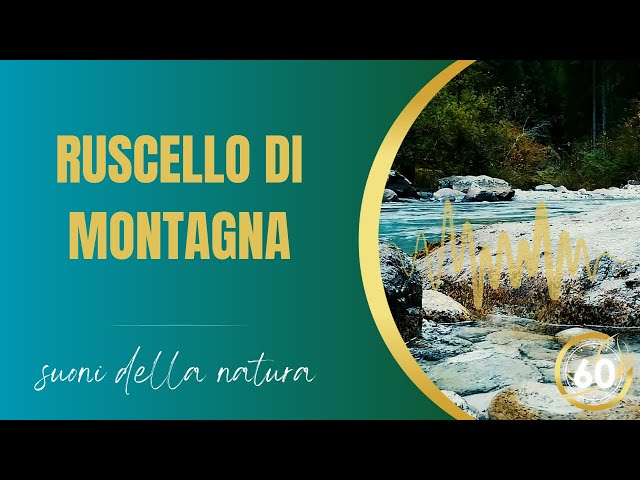 Ruscello Tranquillo Suoni Naturali del Bosco per Meditazione e Relax - 60 Minuti