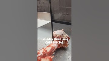 Máy Cưa Xương Cắt Thịt Cá Đông Lạnh ALPHA | Điện Máy Thiên Long📞0️⃣7️⃣9️⃣7️⃣8️⃣6️⃣8️⃣7️⃣8️⃣8️⃣