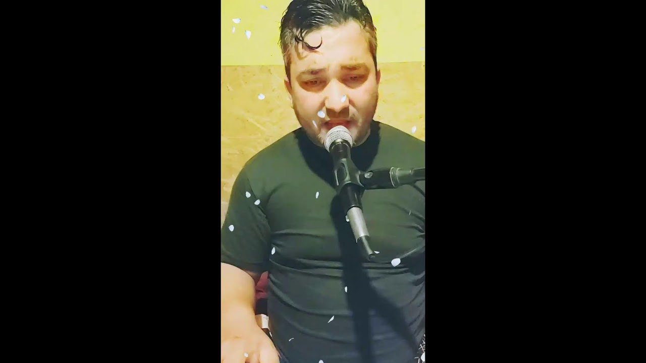 Bakó Jani Live  muzsika