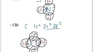 Molecular Structure Module 8-3