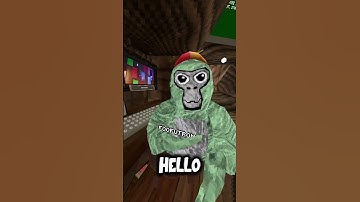 Day 2 Of joining my fan code! #gorillatag #gorillatagquest #gtag #gorillatagvr #gtag