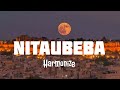 Harmonize - NITAUBEBA [Official Lyrics Video]
