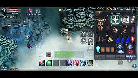 cabal mobile pet bug