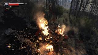 Witcher 3 Music and Combat test