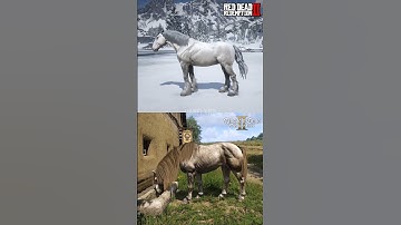 RDR2 vs KCD2 - Physics Comparison🎯
