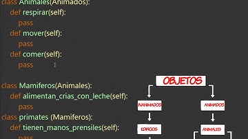37.- Aprender programación para niños con Python. ¿Por qué usar Clases y Objetos?