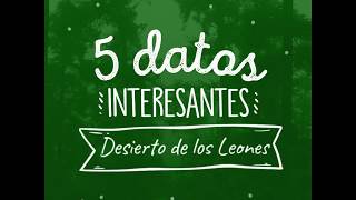 5 datos interesantes del Desierto de los Leones