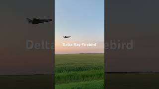 Delta Ray Firebird #shorts #horizonhobby #rcplanes #rcplanes