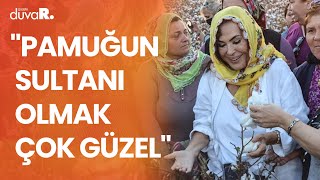 Türkan Şoray Adanalı Çiftçilerle Pamuk Topladı Pamuğun Sultanı Olmak Çok Güzel