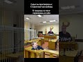 Всмысле #мемы #юмор #жиза #мелстрой