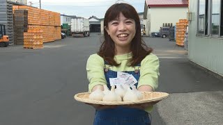 「Fresh Vegetable」旬の青森県産にんにくを紹介♪