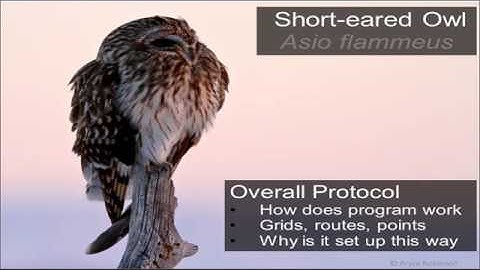 WAfLS Overall Protocol  (Training video 2)