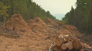 CMP parent company ramps up efforts again over western Maine corridor